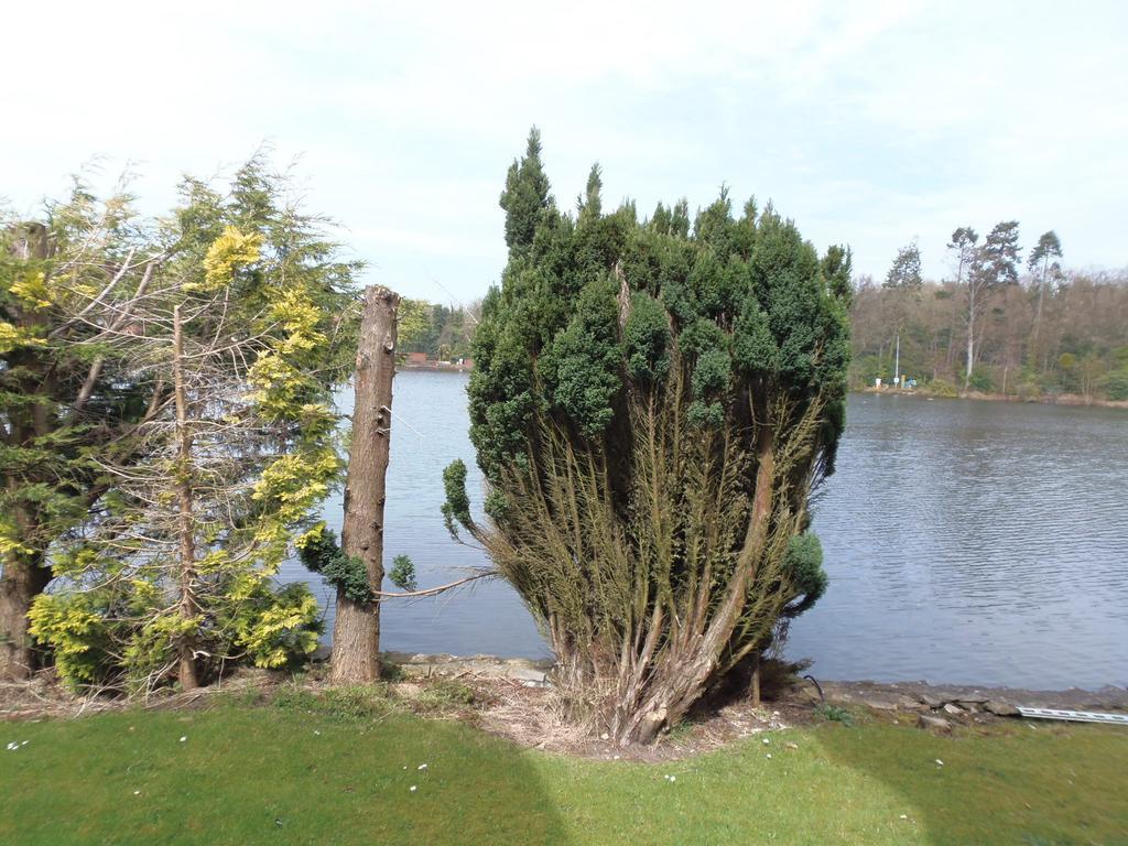Lakeside Continental Hotel Camberley Luaran gambar